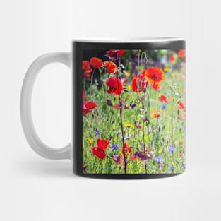 Summer meadow flowers in Yorkshire,UK Mug